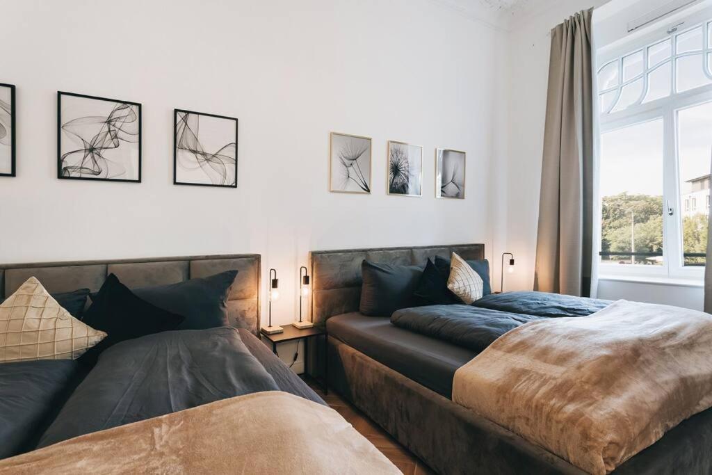 Tip! Design-Apartment In Toplage 75Qm In Szeneviertel Dresden Exterior foto